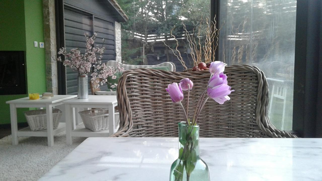 Elaion Guesthouse Ellinikón Zewnętrze zdjęcie